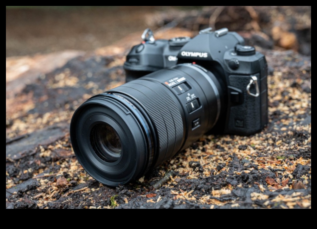 Action-Ready: Cameras for Sports and Fast-Moving Subjects