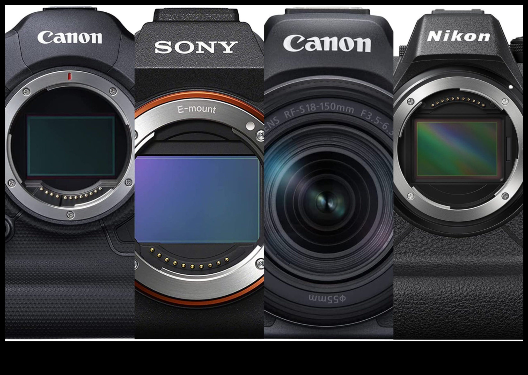 Action-Ready: Cameras for Sports and Fast-Moving Subjects