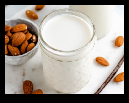 Almond Bliss: Discovering the Richness of Homemade Almond Milk