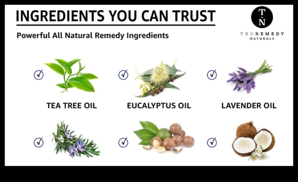 Aloe Elixir A Natural Way to Boost Your Health and Wellness 1