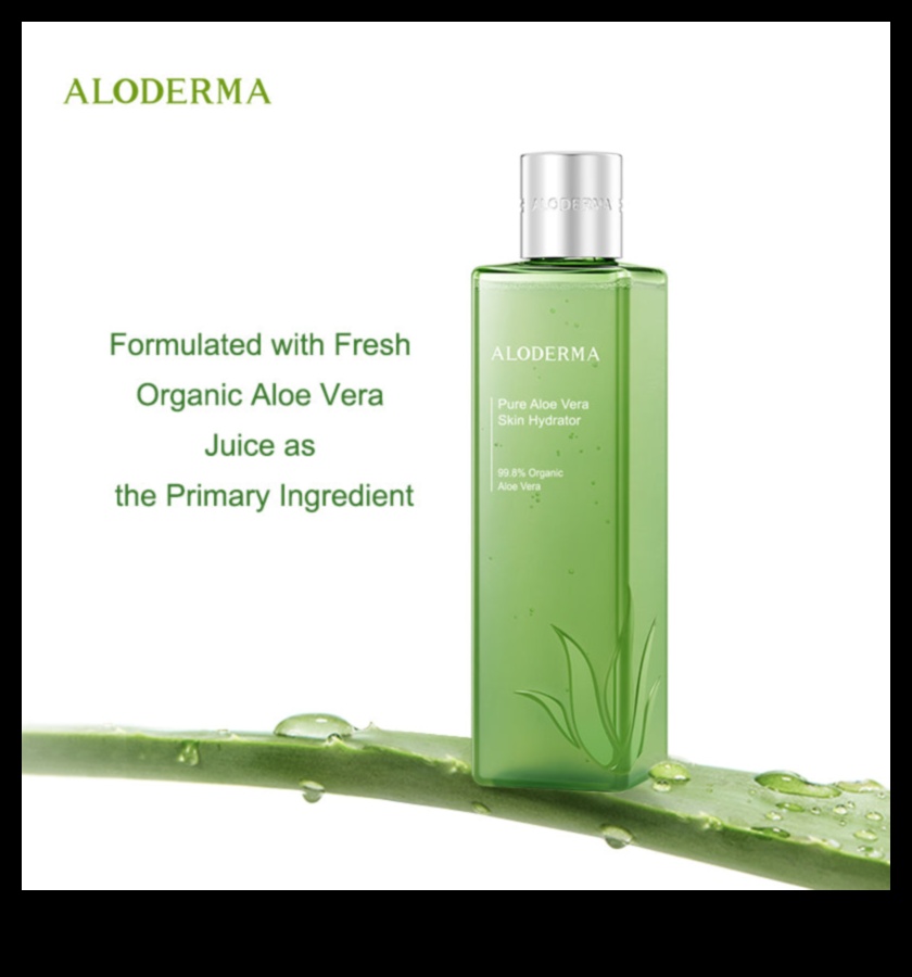 Aloe Treats: Indulging in the Power of Fresh Aloe Vera Goodness