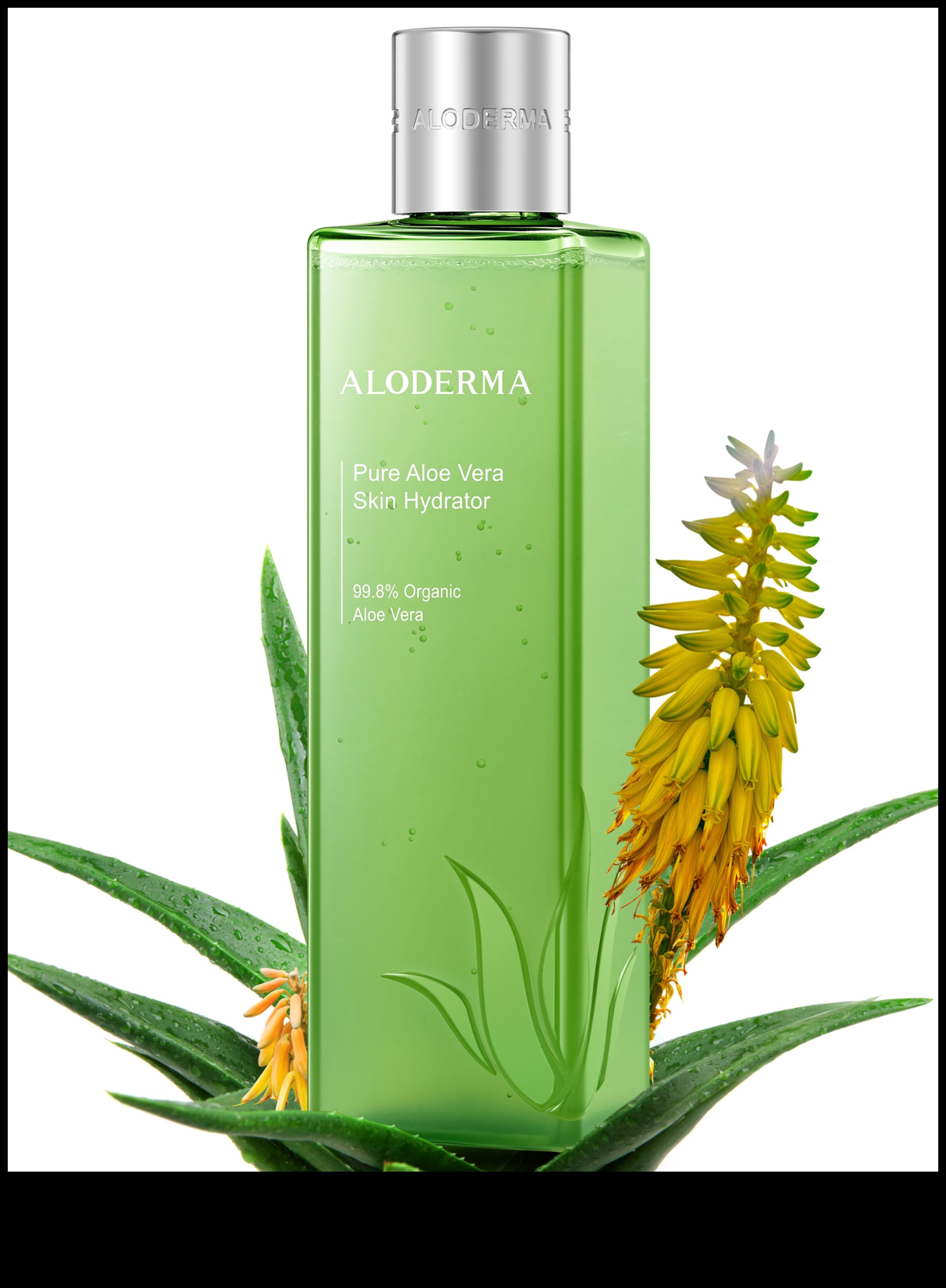 Aloe Treats: Indulging in the Power of Fresh Aloe Vera Goodness