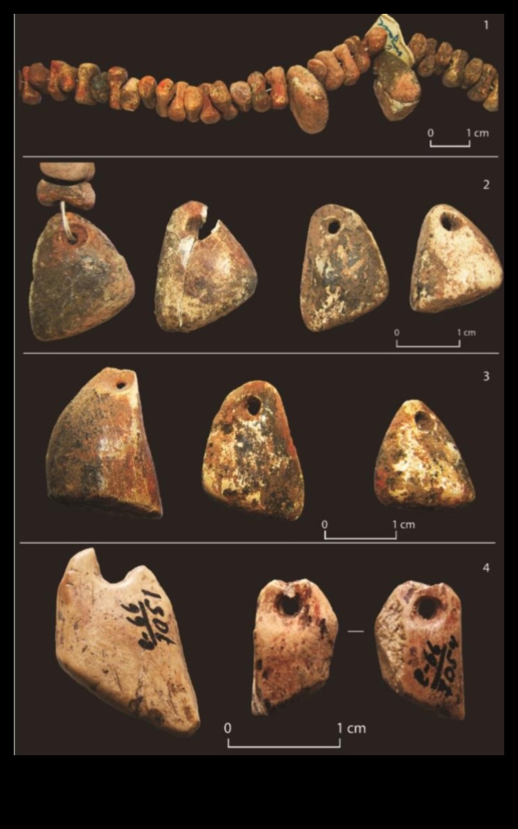 Ancient Adornments: Personal Ornaments in Prehistoric Times