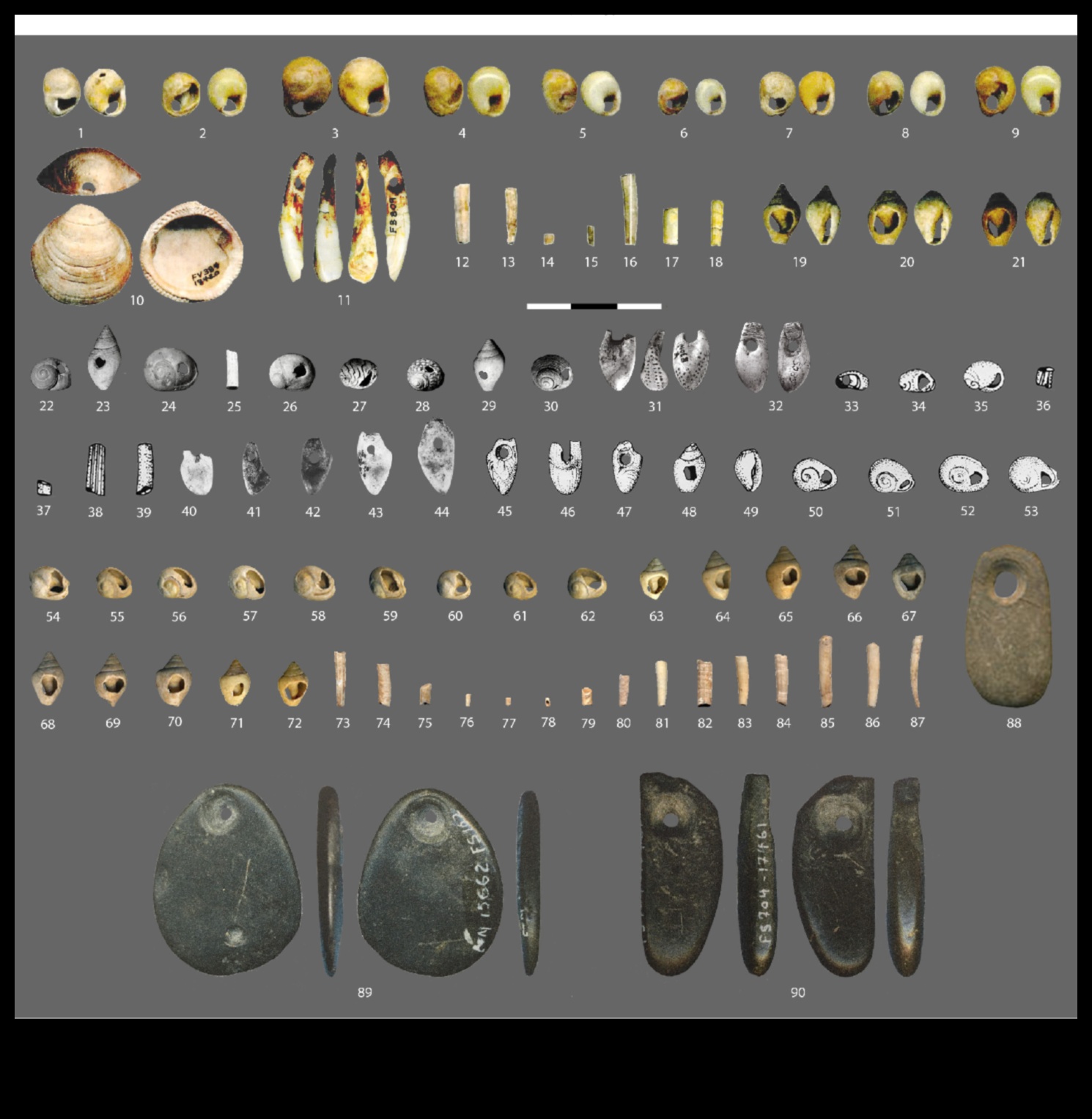 Ancient Adornments: Personal Ornaments in Prehistoric Times