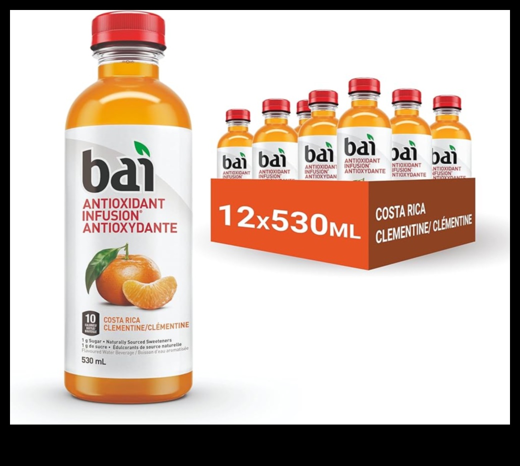 Antioxidant Infusions: Elevating Your Sugar-Free Drink Experience