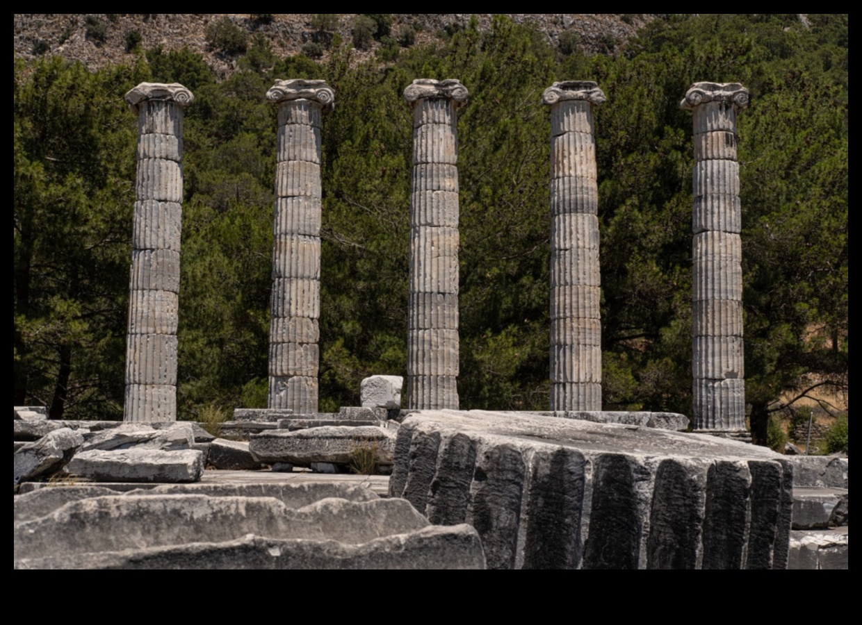 Archaeological Elegance: Rediscovering Ancient Art in the Dust of Time