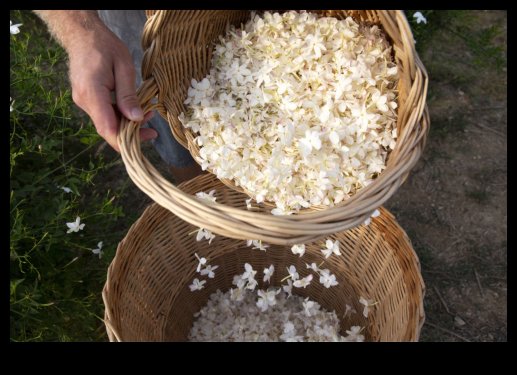 Artisanal Elegance: Handcrafted French Culinary Creations