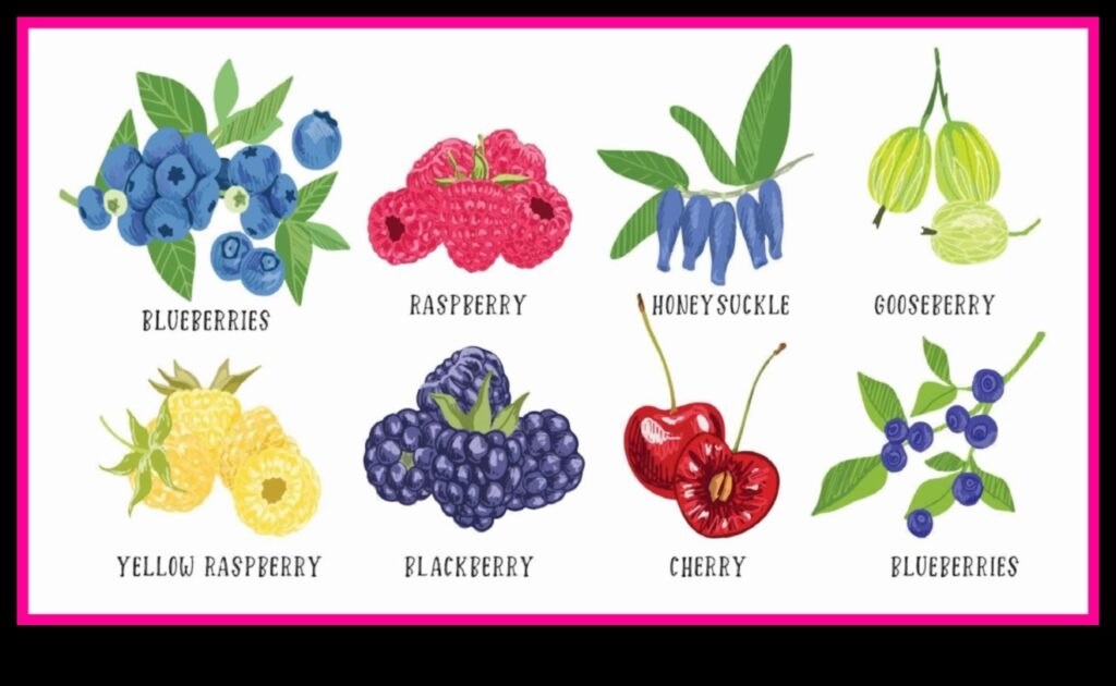 Berry Bonanza A Sweet and Juicy Journey Through the World of Fresh Berries 1