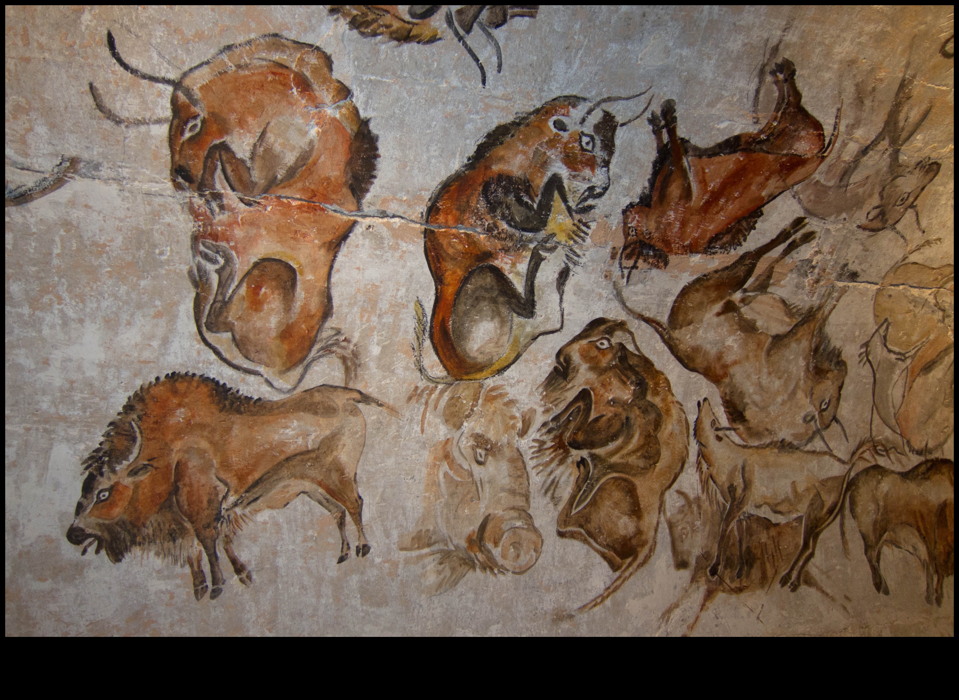 Bison and Beyond A Visual Tour of Animals in Prehistoric Cave Paintings 1 Bison and Beyond: Animals in Prehistoric Cave Paintings
