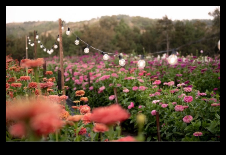 Blooming Backyard: Gardening Gifts for Mom's Oasis