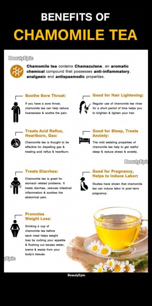 Calm and Cozy The Healing Benefits of Chamomile Tea 1