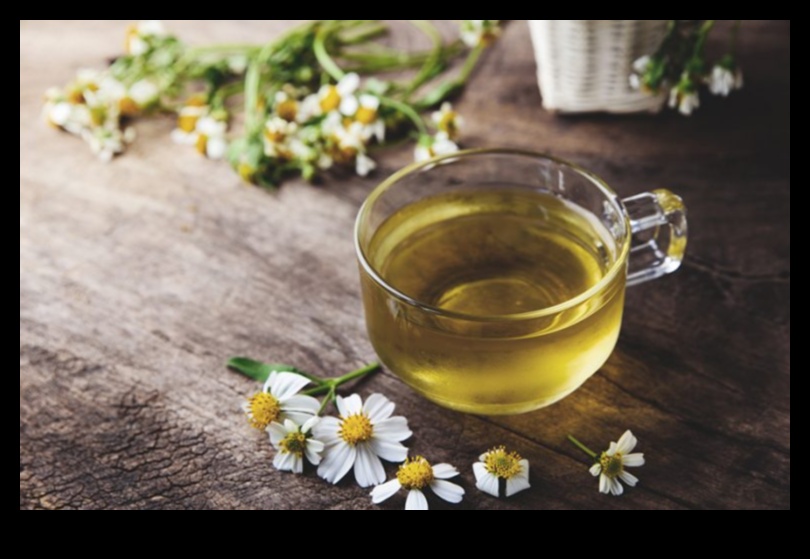 Calm and Cozy: Indulging in the Comforts of Chamomile Tea
