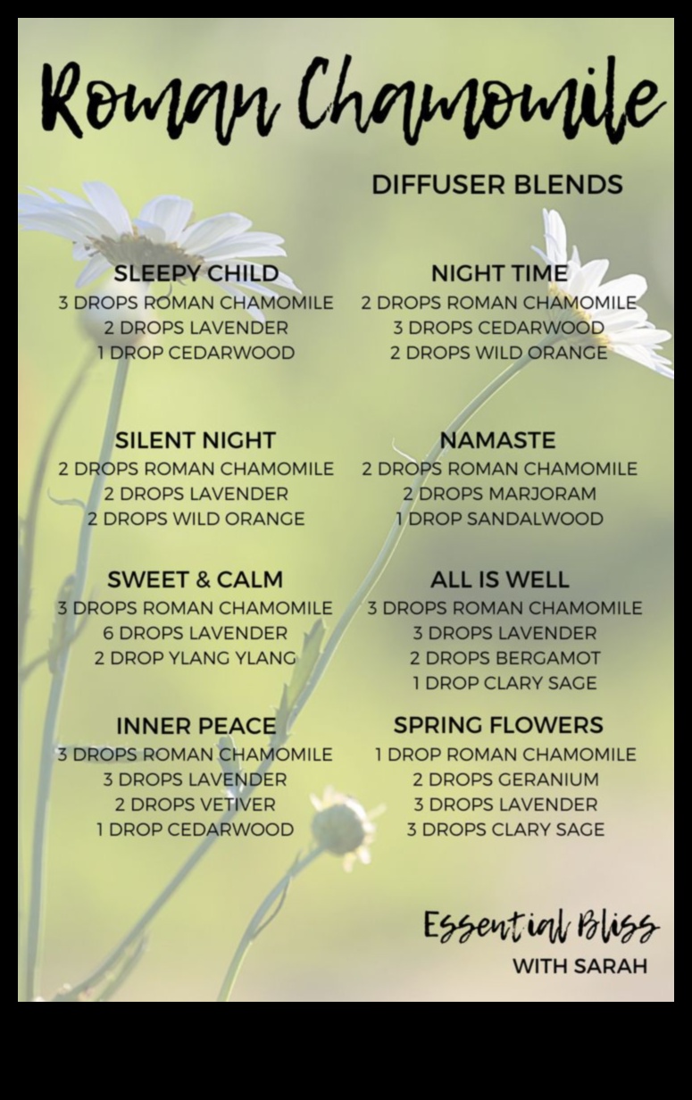 Chamomile Elixirs: A Guide to Crafting Perfect Relaxation Blends