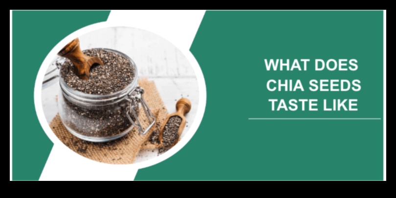 Chia Creations: Mixing and Matching Flavors for Irresistible Seed Drinks