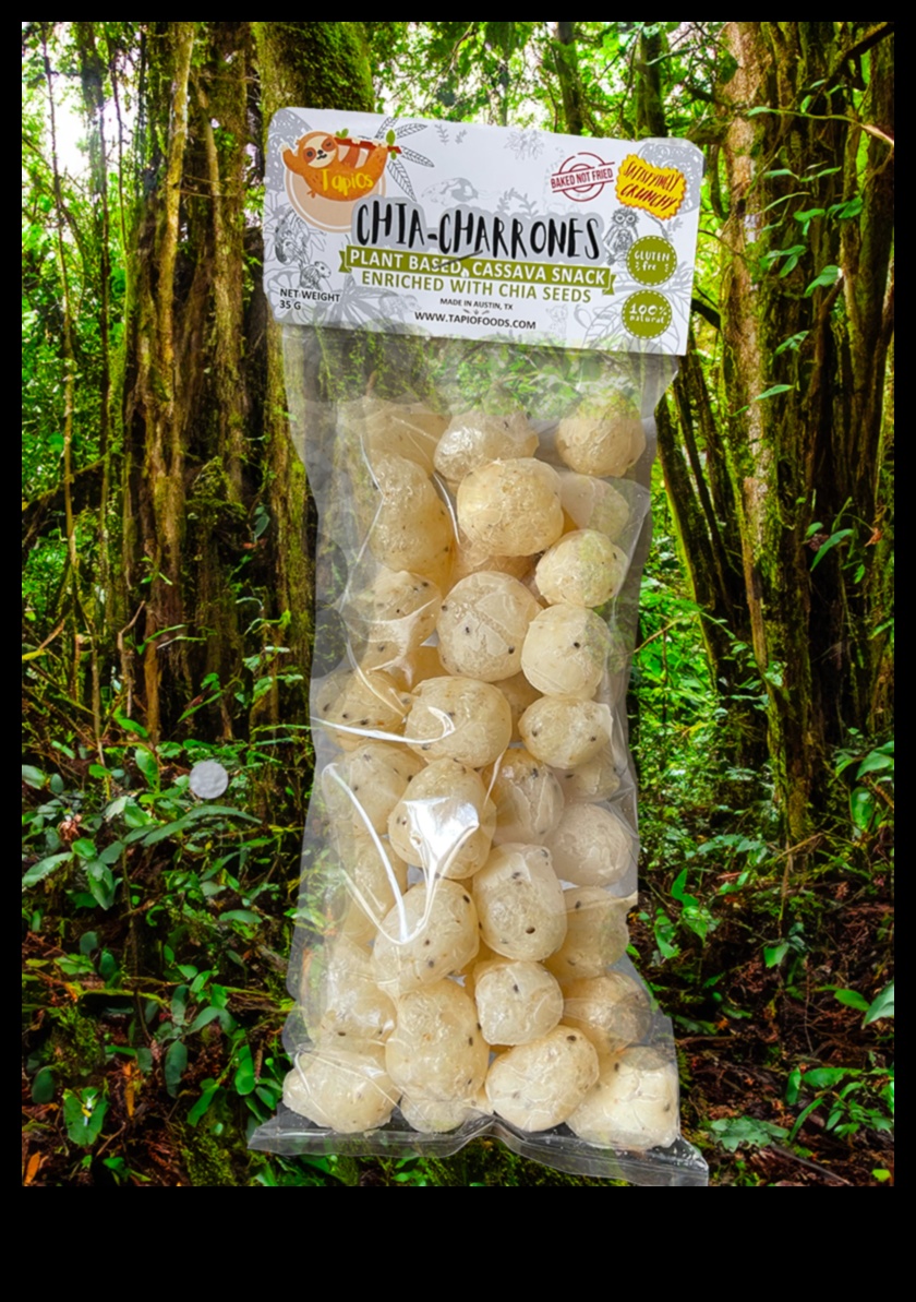 Chia Sensations: A Guide to Crafting Irresistible Healthful Elixirs