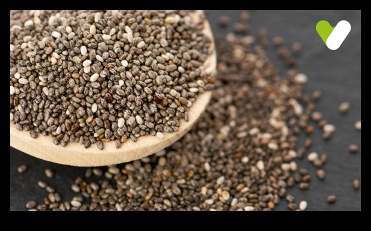Chia Treats: Indulging in the Power of Fresh Chia Seed Goodness