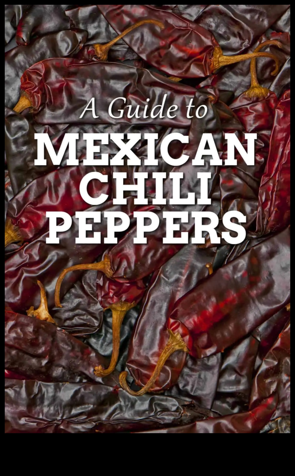 Chili Pepper Paradise: Heat Up Your Kitchen with Mexican Spices