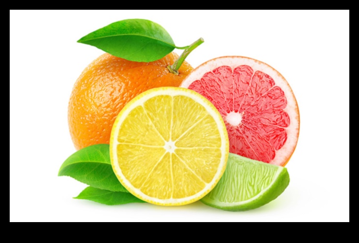 Citrus Magic A Healthy Dose of Vitamins, Minerals, and Antioxidants 1