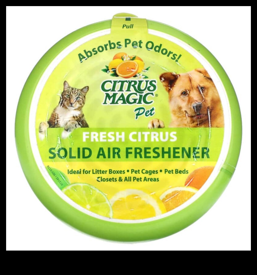 Citrus Magic A Healthy Dose of Vitamins, Minerals, and Antioxidants 4 Citrus Magic: Unlocking the Secrets of Wellness in Every Sip of Carrot-Orange Juice