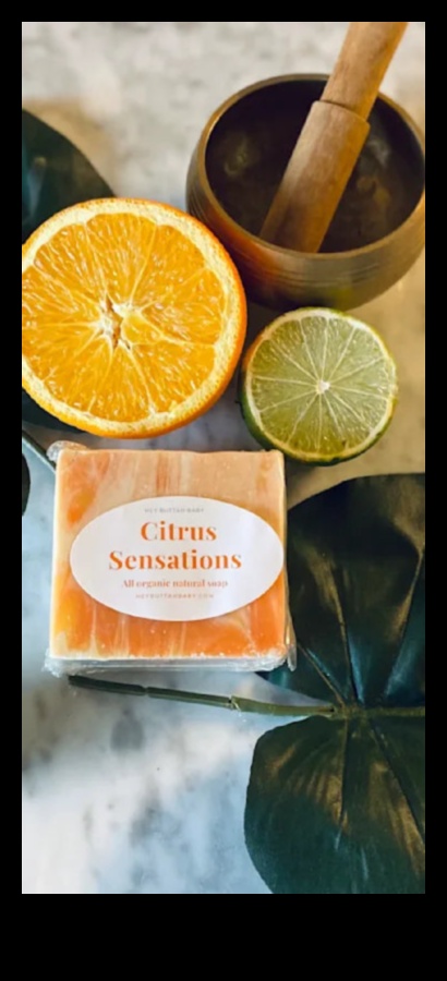 Citrus Sensations A Guide to Crafting Irresistible Healthful Elixirs 1