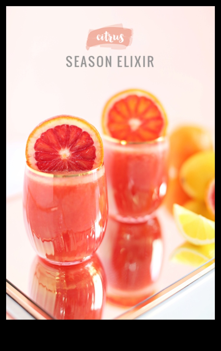 Citrus Sensations: A Guide to Crafting Irresistible Healthful Elixirs