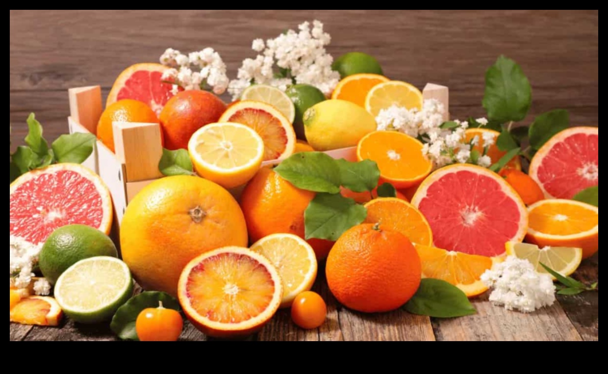 Citrus Symphony: Exploring the Zesty World of Fresh Fruit Juices