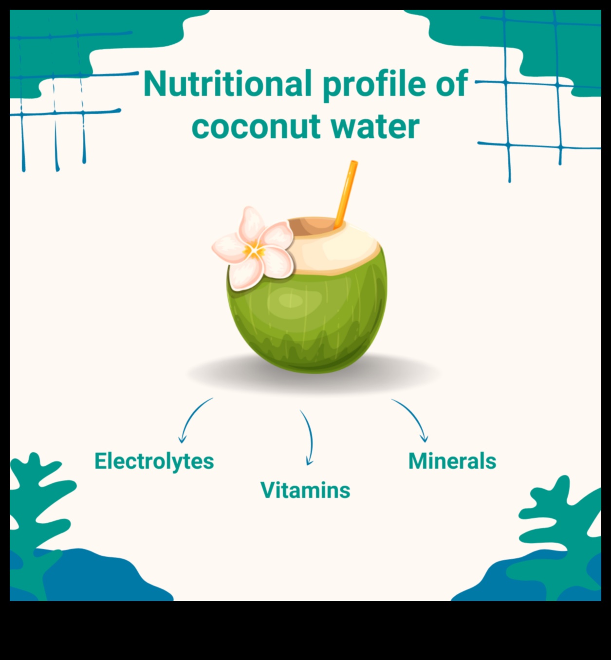 Coconut Elixir: Discovering the Natural Goodness of Fresh Coconut Water