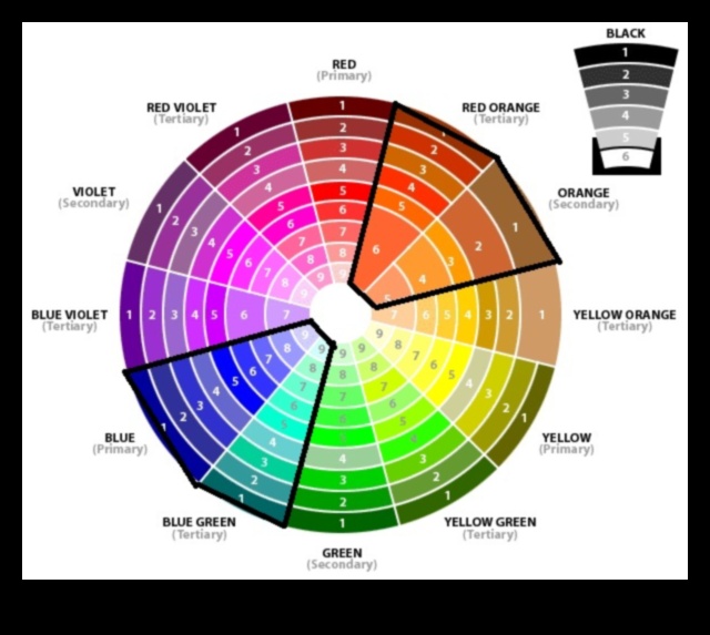 Color Theory in Eyeliner Find the Perfect Shades to Enhance Your Eyes 1