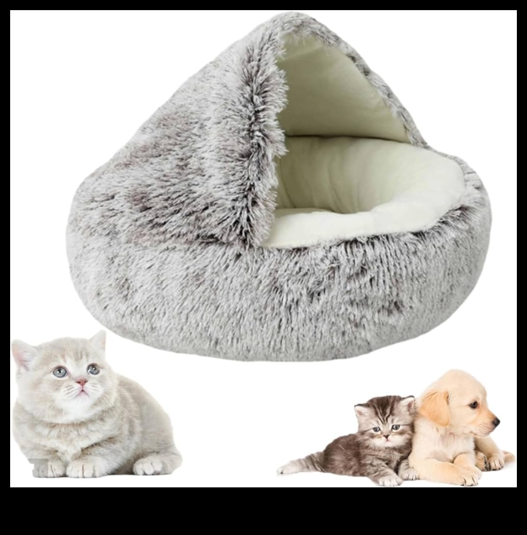 Cozy Cocoon: Gifts for a Comfortable Home