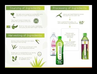 Crisp and Clean A Guide to the World of Aloe Vera Drink Blends 4 Crisp and Clean: Exploring the World of Aloe Vera Drink Blends