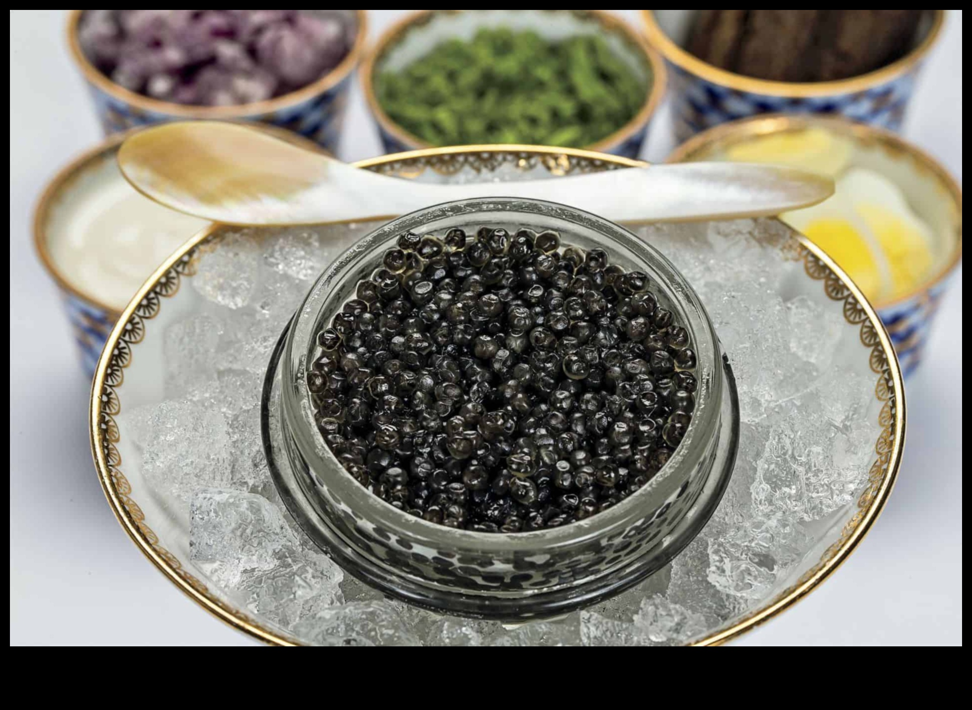 Culinary Symphony: French Gastronomy at Its Finest