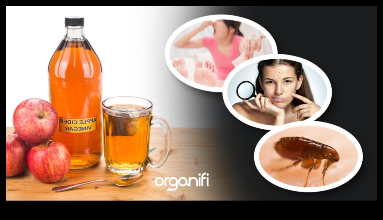 DIY ACV Adventures 50+ Creative Ways to Use Apple Cider Vinegar for Health and Wellness 4 DIY ACV Adventures: Crafting Unique and Flavorful Health Concoctions