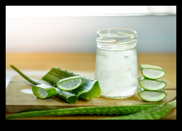 DIY Aloe Vera Adventures: Crafting Unique and Flavorful Elixirs