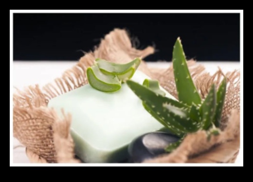 DIY Aloe Vera Bar A Refreshing and Natural Way to Cool Down 1