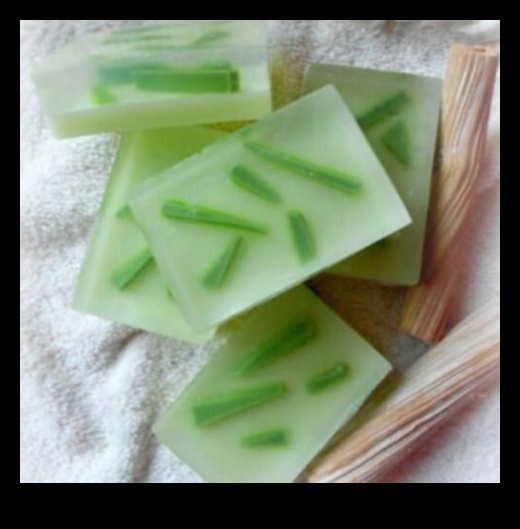 DIY Aloe Vera Bar: Crafting Your Perfect Refreshment at Home