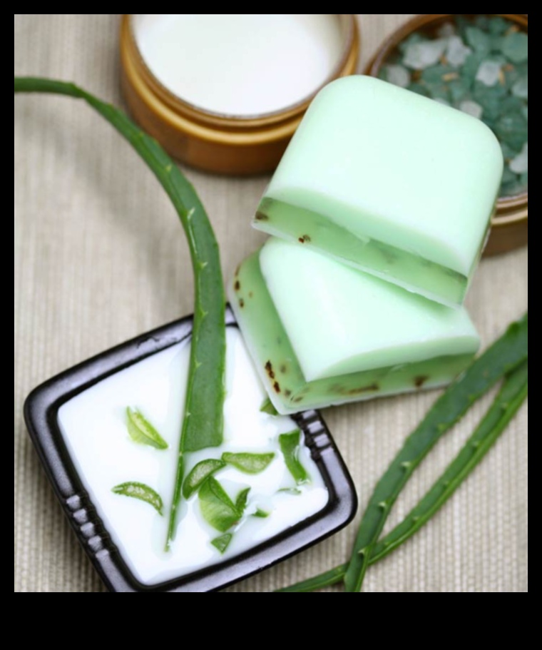 DIY Aloe Vera Bar: Crafting Your Perfect Refreshment at Home