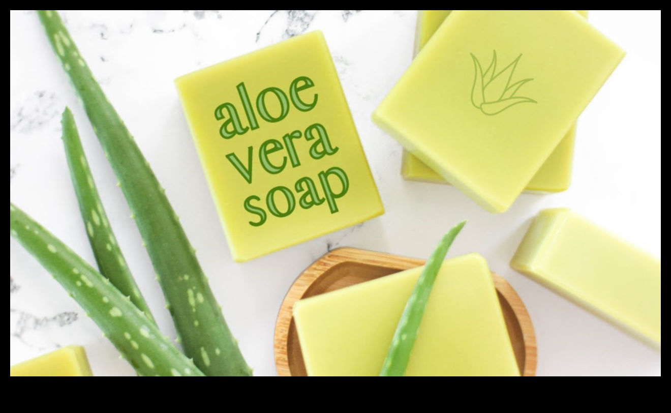 DIY Aloe Vera Bar: Crafting Your Perfect Refreshment at Home
