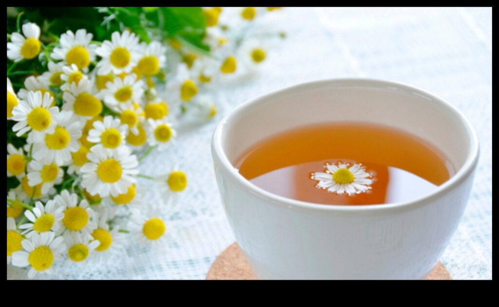 DIY Chamomile Extravaganza A Guide to Crafting Unique Blends for Tea Enthusiasts 1