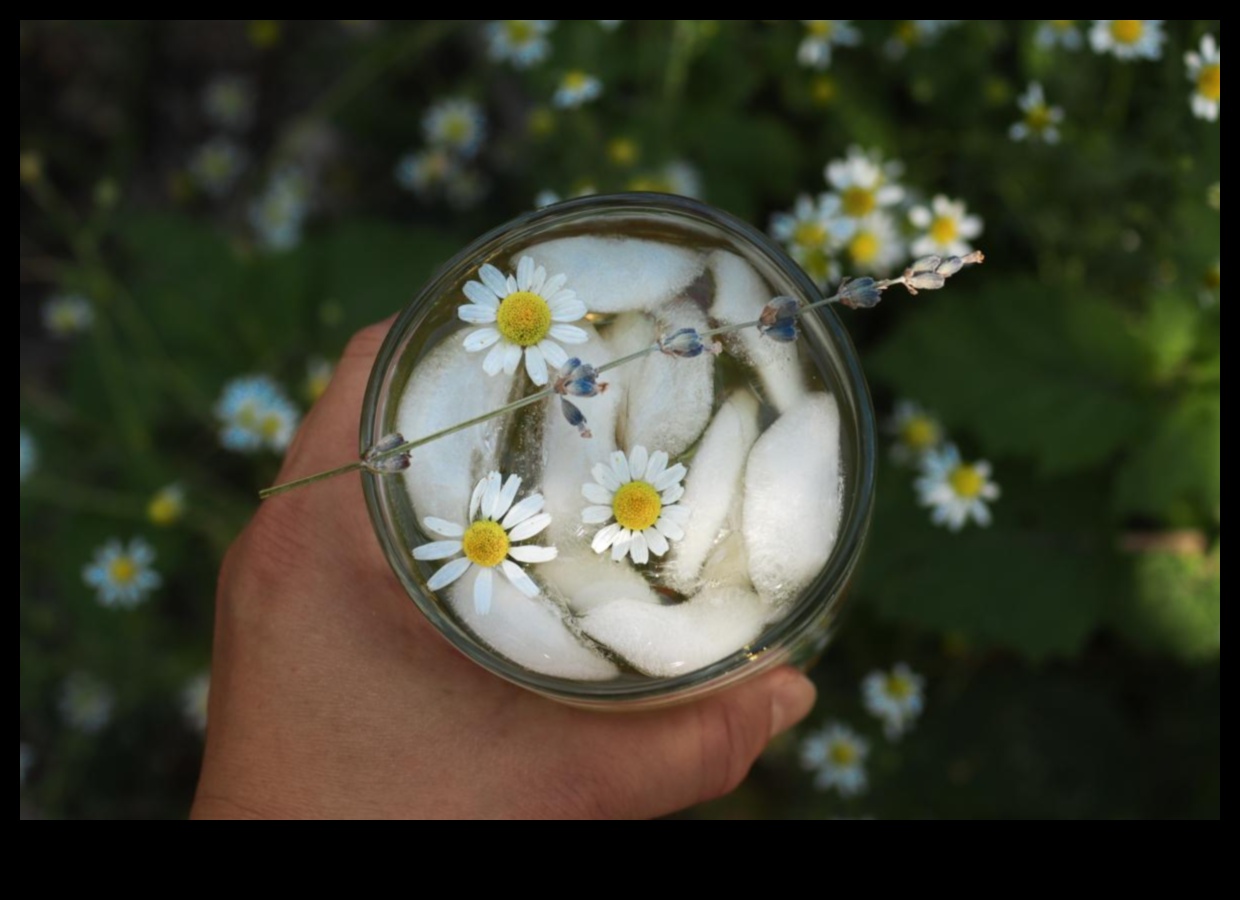 DIY Chamomile Tea Bar: Crafting Your Personalized Relaxation Brew