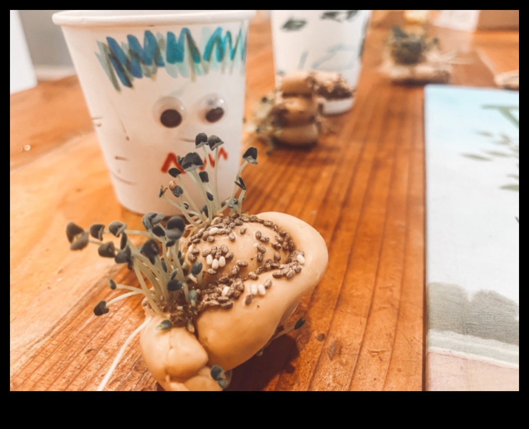 DIY Chia Adventures A Creative Guide to Crafting Unique and Flavorful Hydration Concoctions 3 DIY Chia Adventures: Crafting Unique and Flavorful Hydration Concoctions