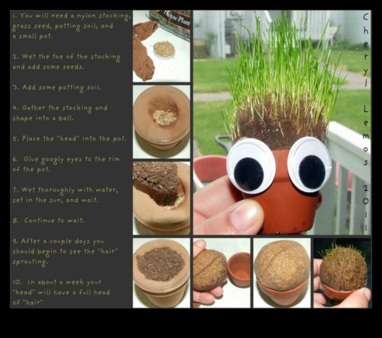 DIY Chia Adventures A Creative Guide to Crafting Unique and Flavorful Hydration Concoctions 4 DIY Chia Adventures: Crafting Unique and Flavorful Hydration Concoctions