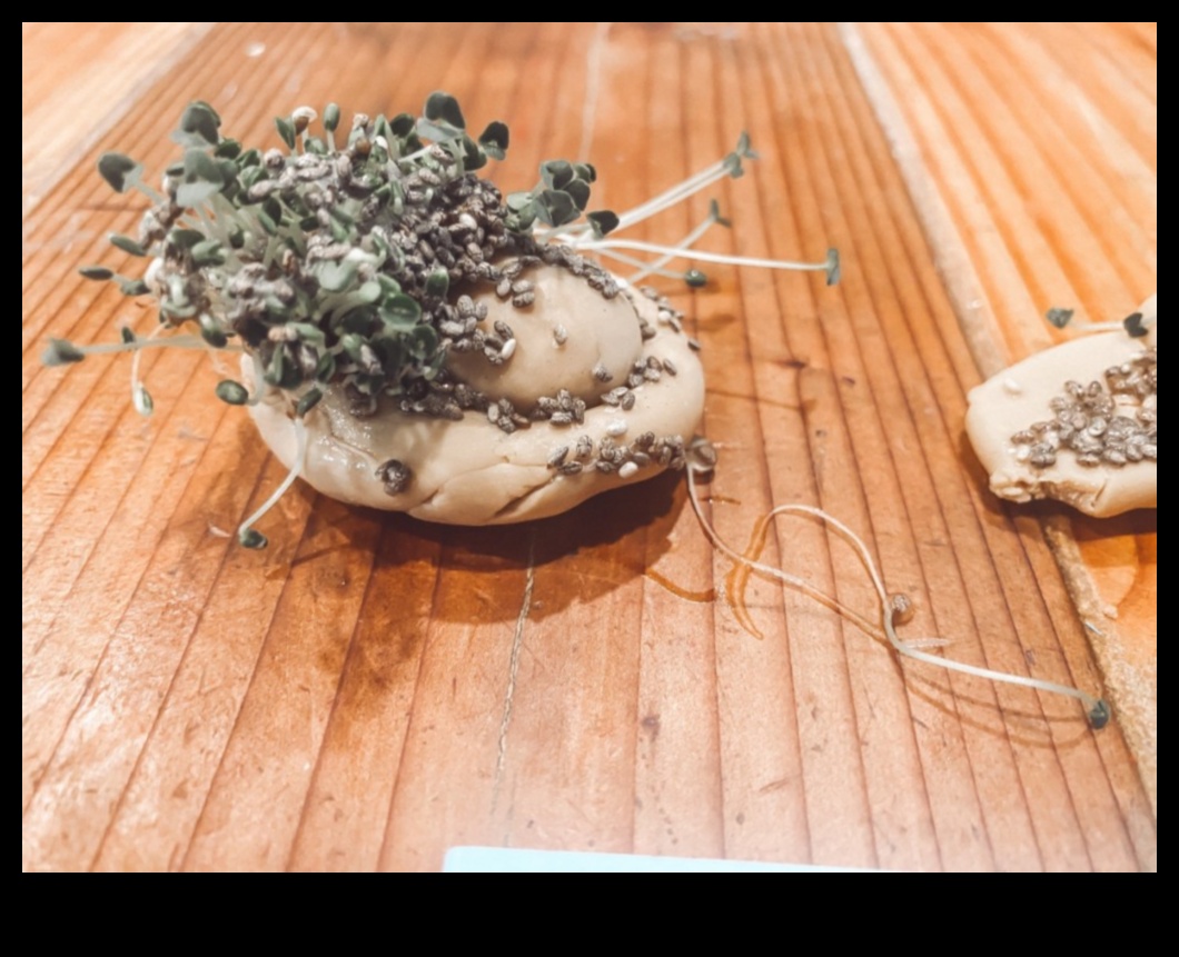 DIY Chia Adventures A Creative Guide to Crafting Unique and Flavorful Hydration Concoctions 5 DIY Chia Adventures: Crafting Unique and Flavorful Hydration Concoctions