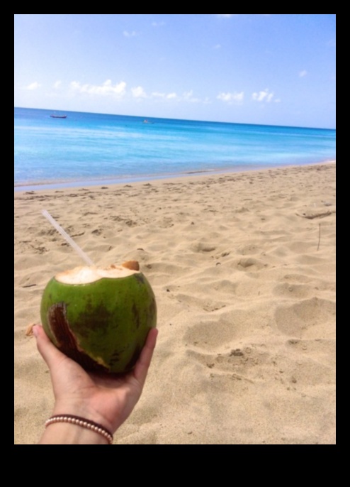 DIY Coconut Adventures 5 Creative Ways to Hydrate with Coconut 1