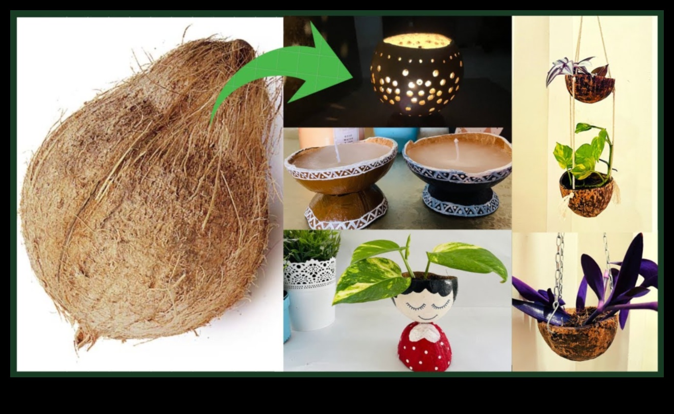 DIY Coconut Revolution: Unleashing Your Creativity in Tropical Crafting
