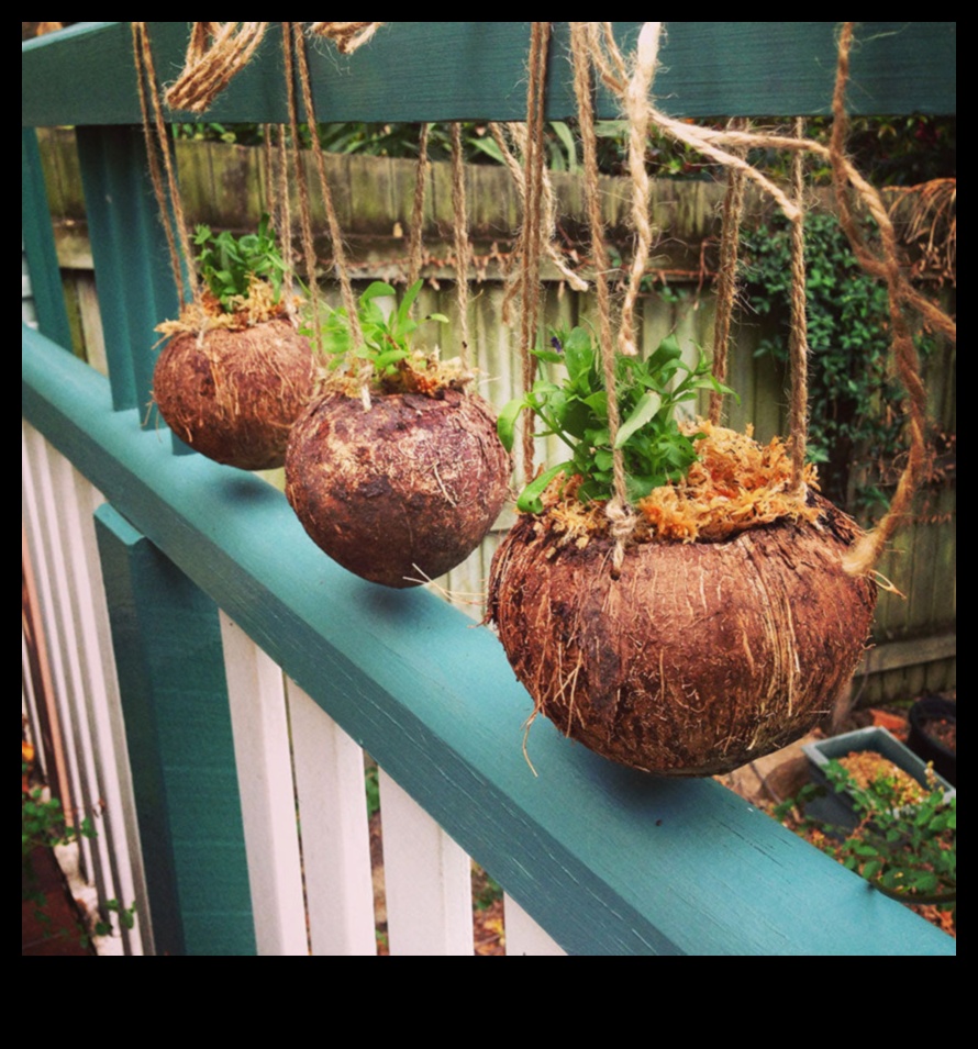 DIY Coconut Revolution: Unleashing Your Creativity in Tropical Crafting