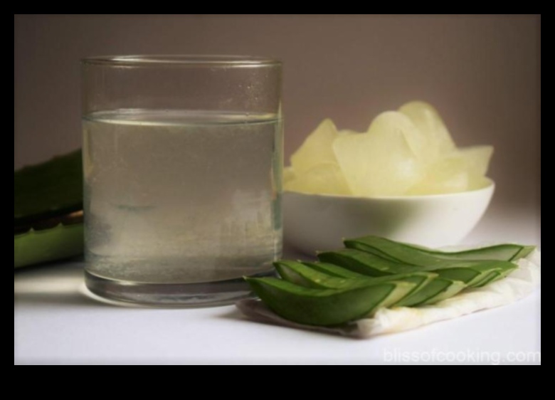 DIY Hydration Bliss: Crafting Unique Aloe Vera Blends at Home