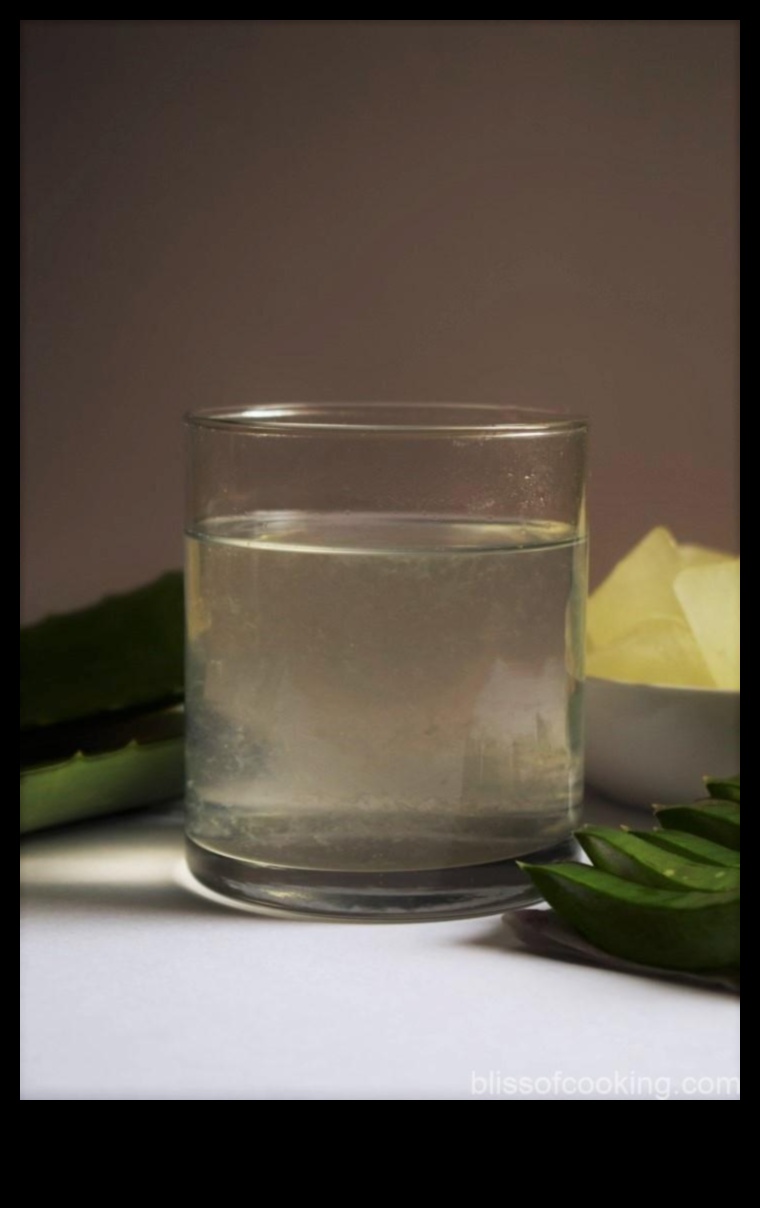 DIY Hydration Bliss: Crafting Unique Aloe Vera Blends at Home