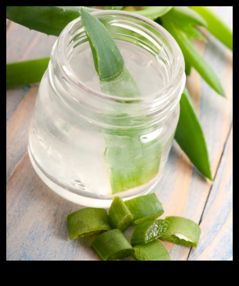 DIY Hydration Bliss: Crafting Unique Aloe Vera Blends at Home
