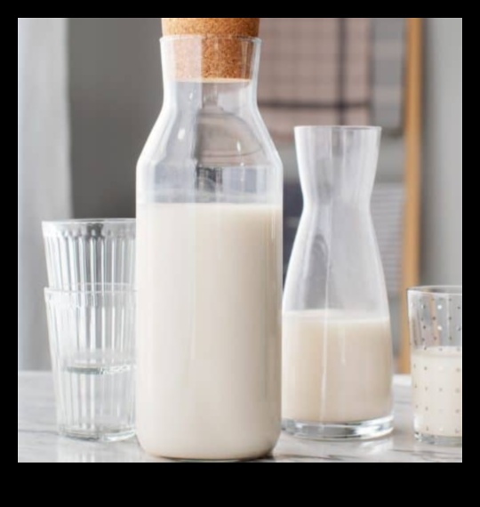 DIY Oat Adventures: Crafting Unique and Flavorful Milk Concoctions