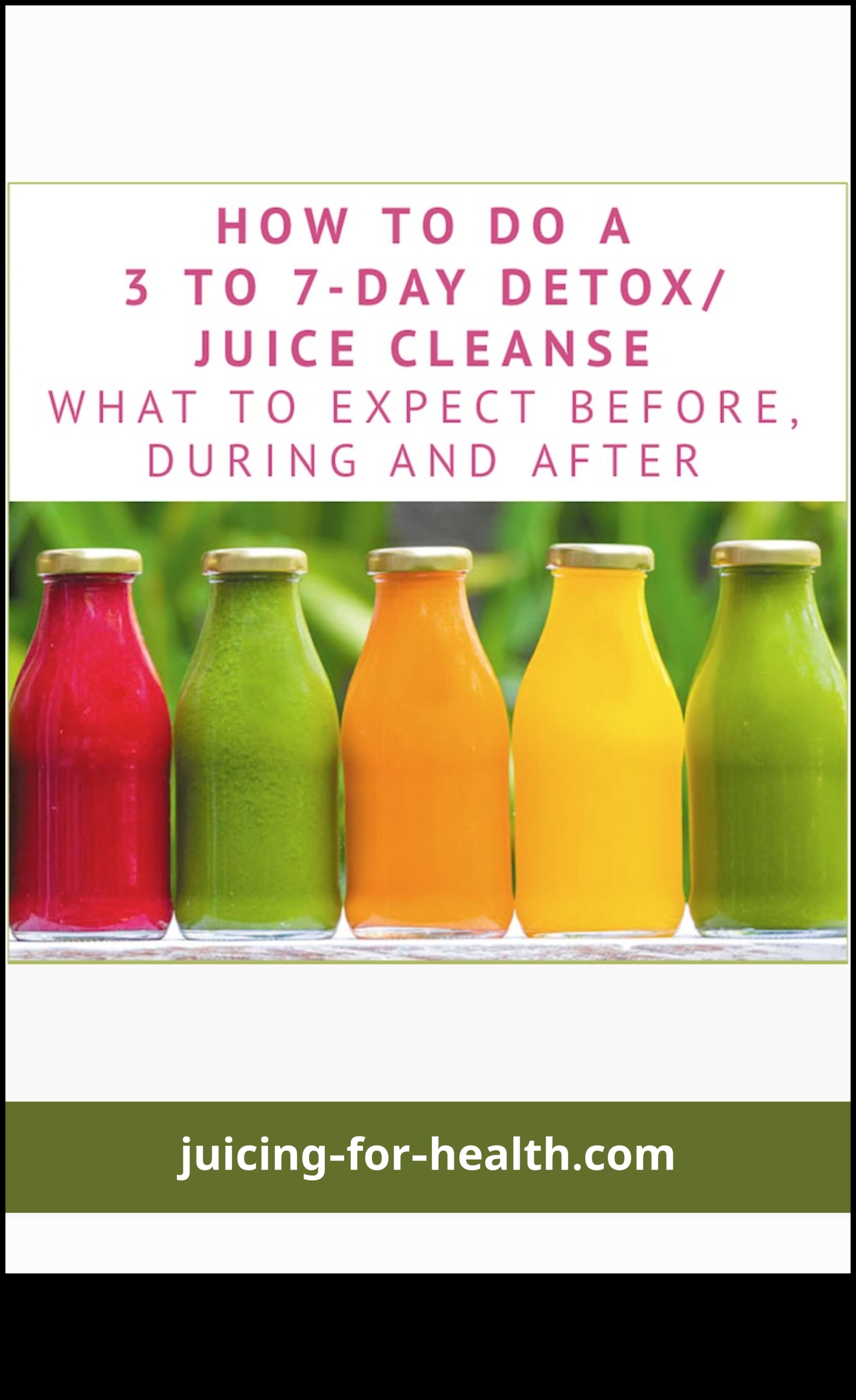 Detox Diaries: Cleanse Your Body with Nutrient-Rich Detox Juices